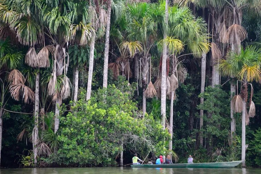 Tour a la Reserva Tambopata en la Amazonia 4 Dias